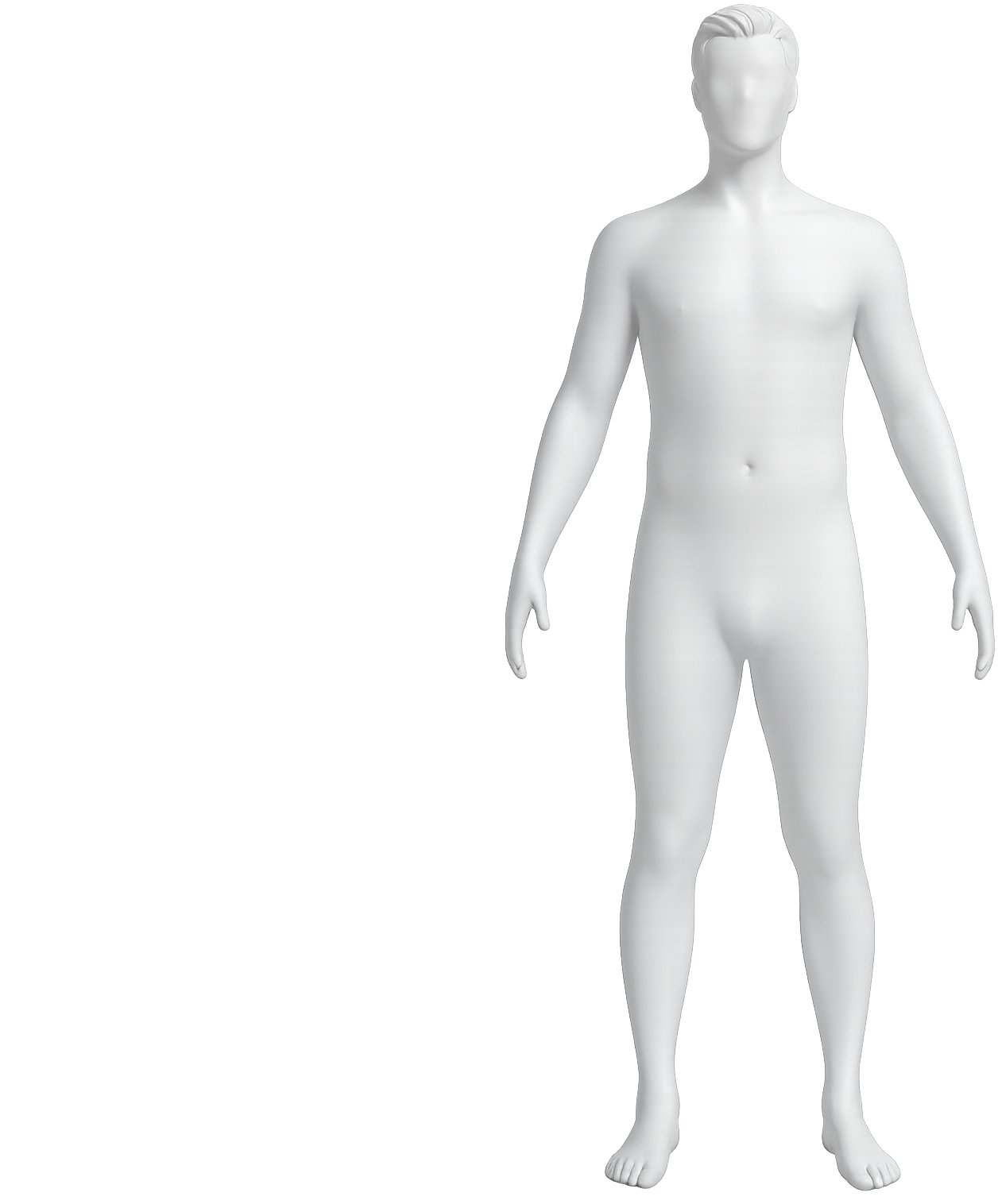 Body fit visualization mannequin